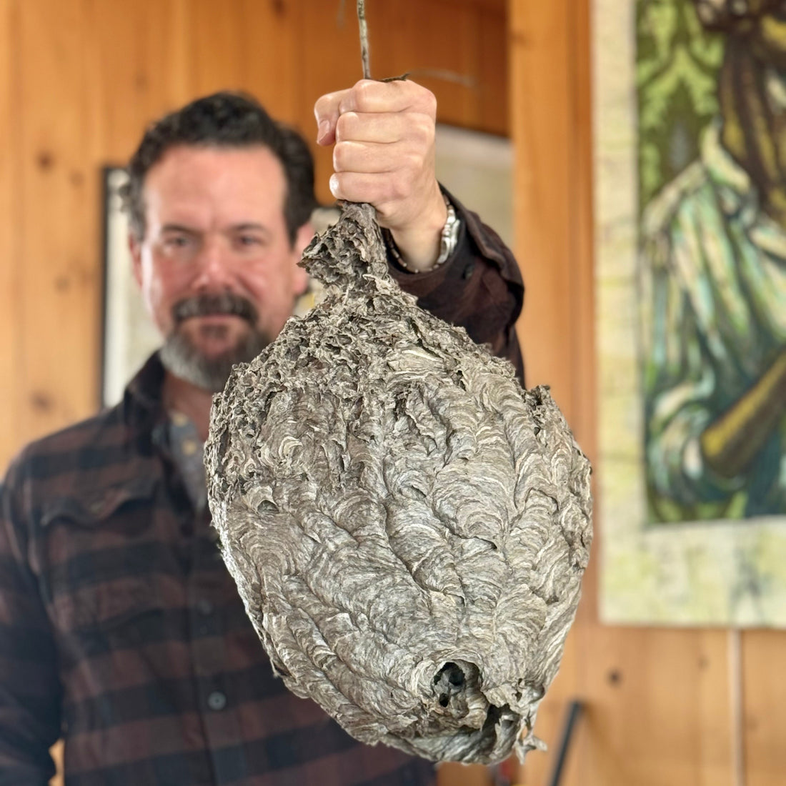 Look at this AMAZING hive!